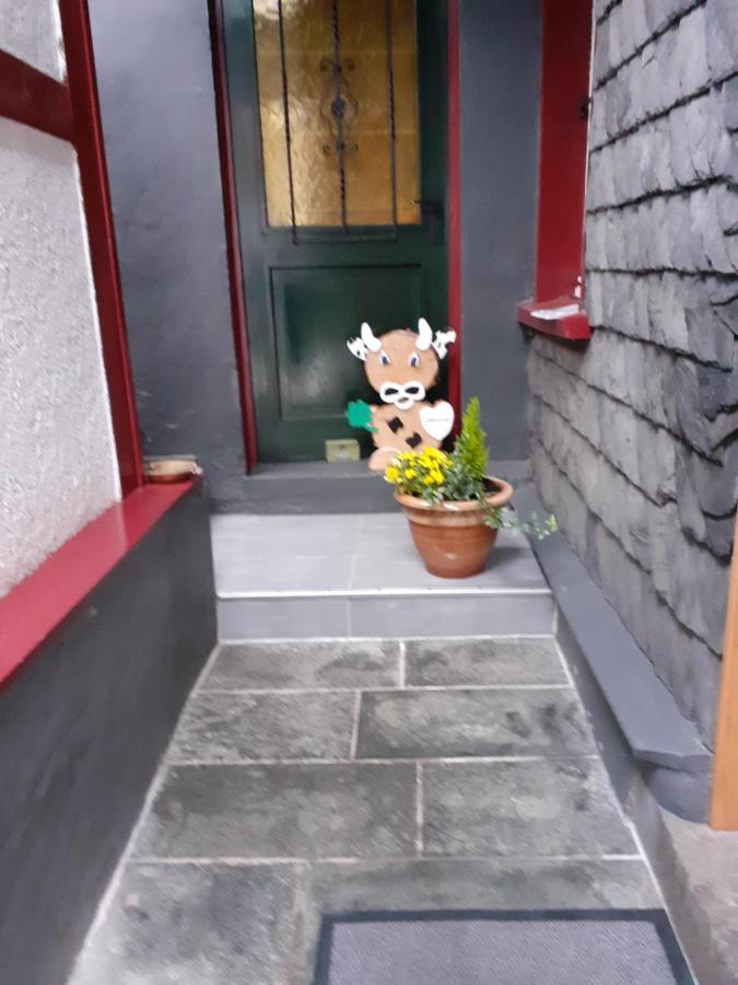 Hallerblick Monschau Eksteriør billede