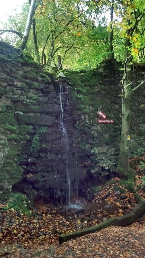 Hallerblick Monschau Eksteriør billede