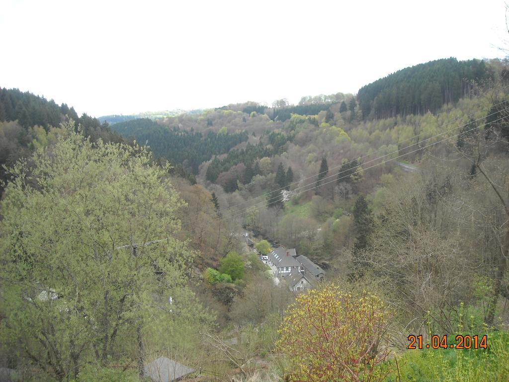 Hallerblick Monschau Eksteriør billede